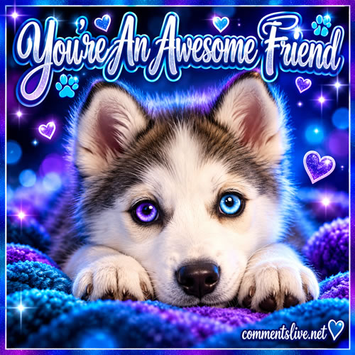 Dog Awesome Friend
