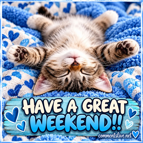 Cat Relaxing