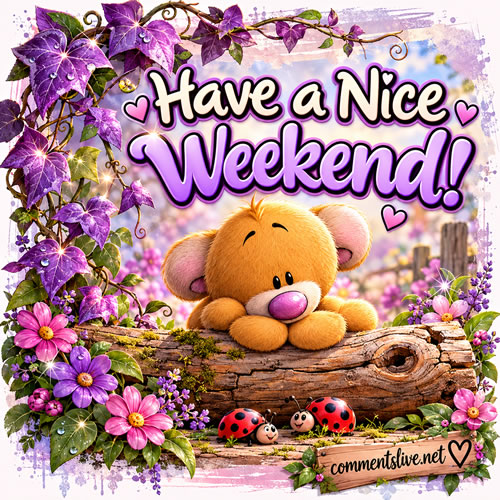 Nice Weekend Bear