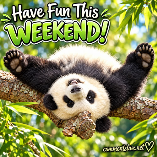 Relaxing Panda